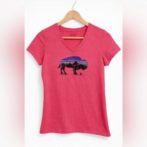 Patagonia Women's Fitz Roy Bison V-Neck Short Sleeve T-Shirt Small
